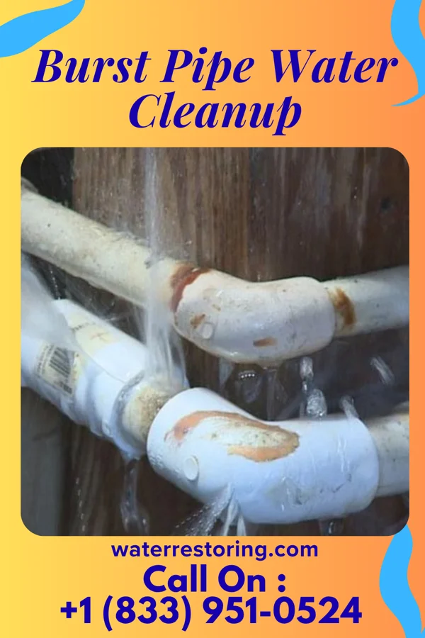 Burst Pipe Water Cleanup in Oconto, WI
