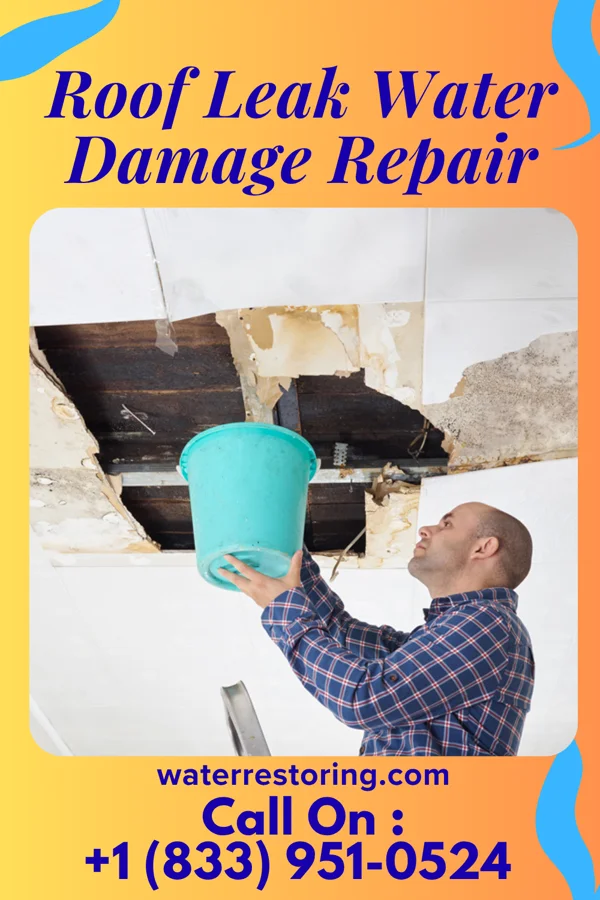 Roof Leak Water Damage Repair in Oconto, WI