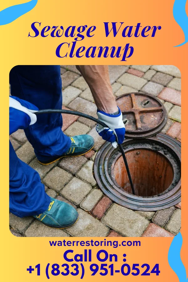 Sewage Water Cleanup in Oconto, WI