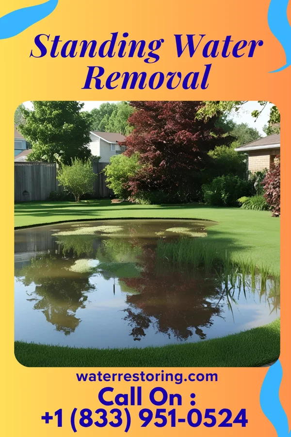 Standing Water Removal in Oconto, WI